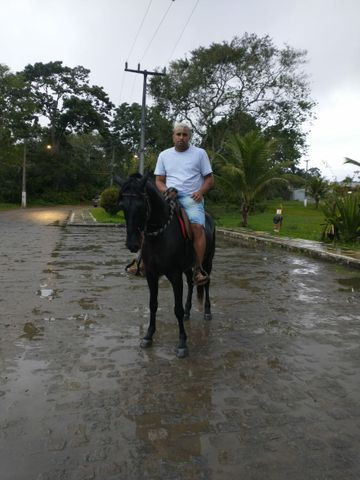 Cavalo Preto registra - Foto 3