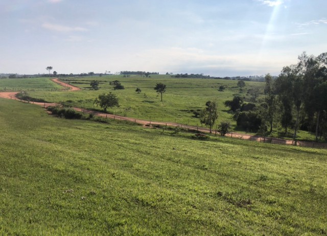 Chácara de 20.100m² em Anhumas - SP Sítio - Foto 2