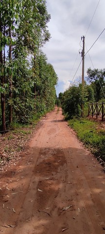 vendo chacara - Foto 4