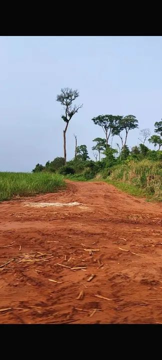 Fazenda de cana melhor preço 