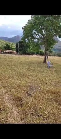 Fazenda(inha) chácara Cavalcante Goiás 