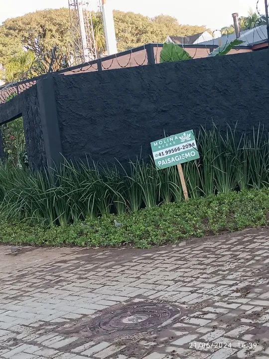 Grama Amendoim ? - Foto 2