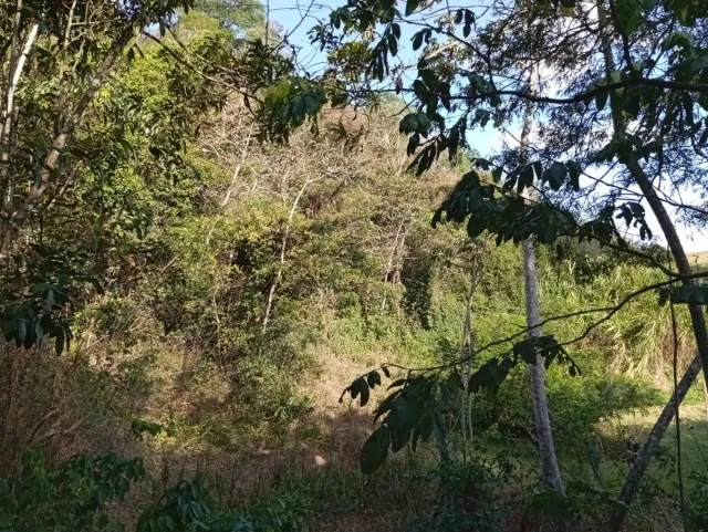 Sitio em Chã de Alegria