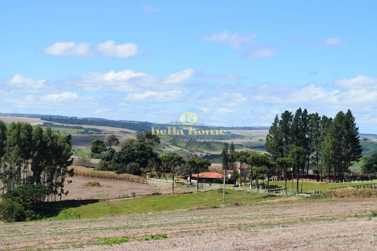 Fazenda à venda 6M², Centro, São Sebastião da Amoreira - PR - Foto 4