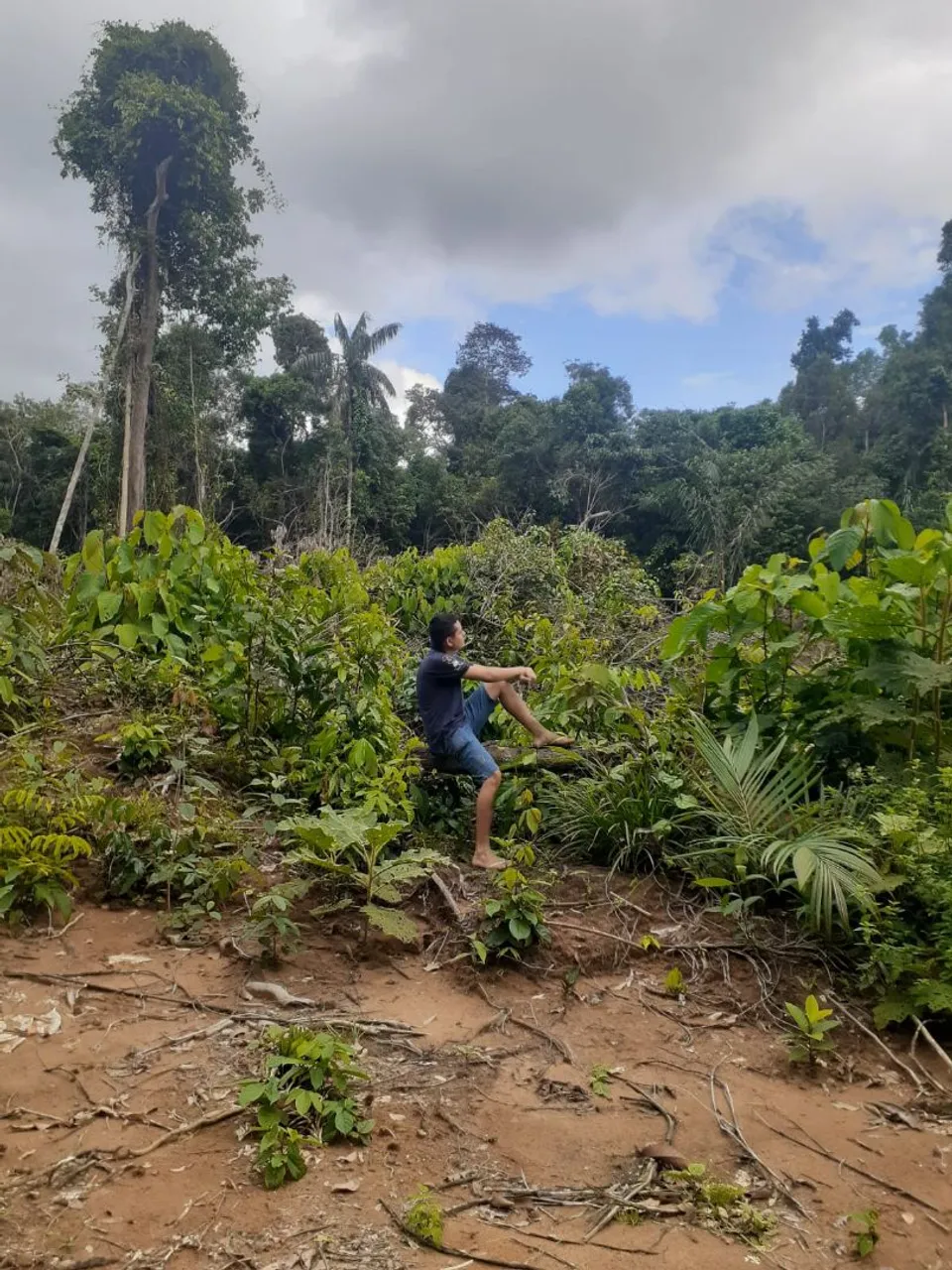 Venda de um terreno