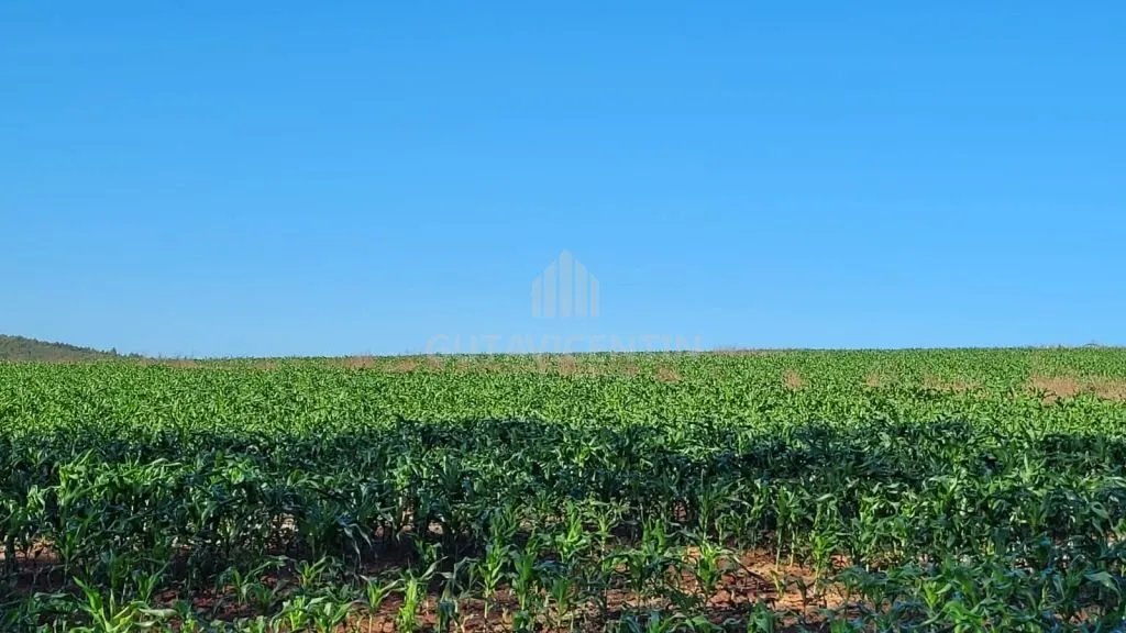 Oportunidade de Investimento: Fazenda em Avaí, SP - Ideal para Agricultura e Irrigação