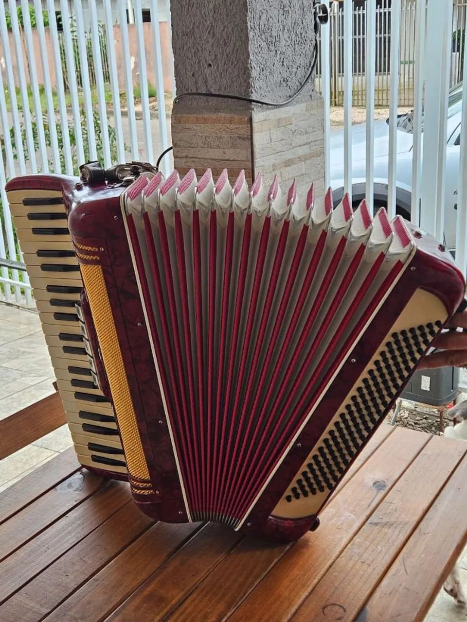 Acordeon Sanfona ou Gaita Scala 120 baixos