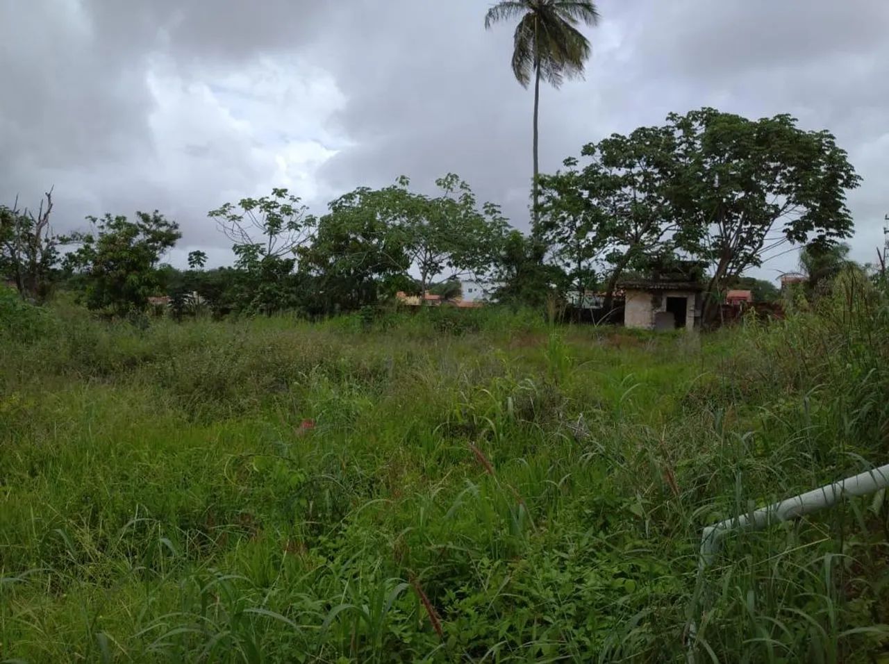 Terreno à venda, 11000 m² por R$ 16.500.000,00 - Calhau - São Luís/MA - Foto 4