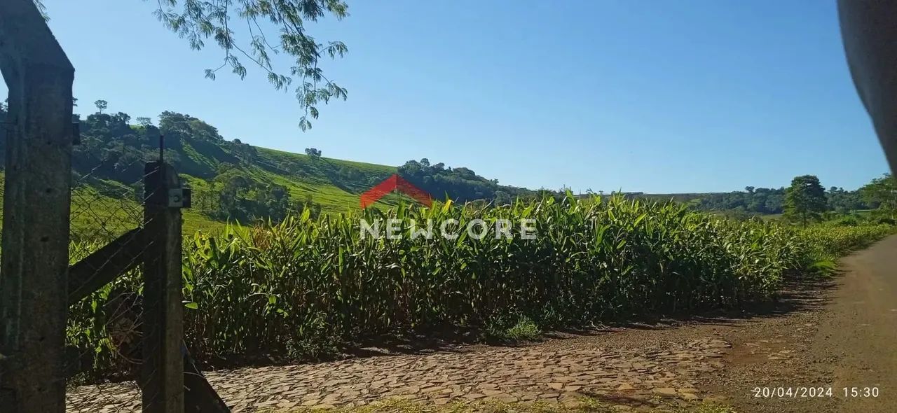 Chácara em estrada sem n° - Linha Sol e Ouro - Medianeira/PR - Foto 3