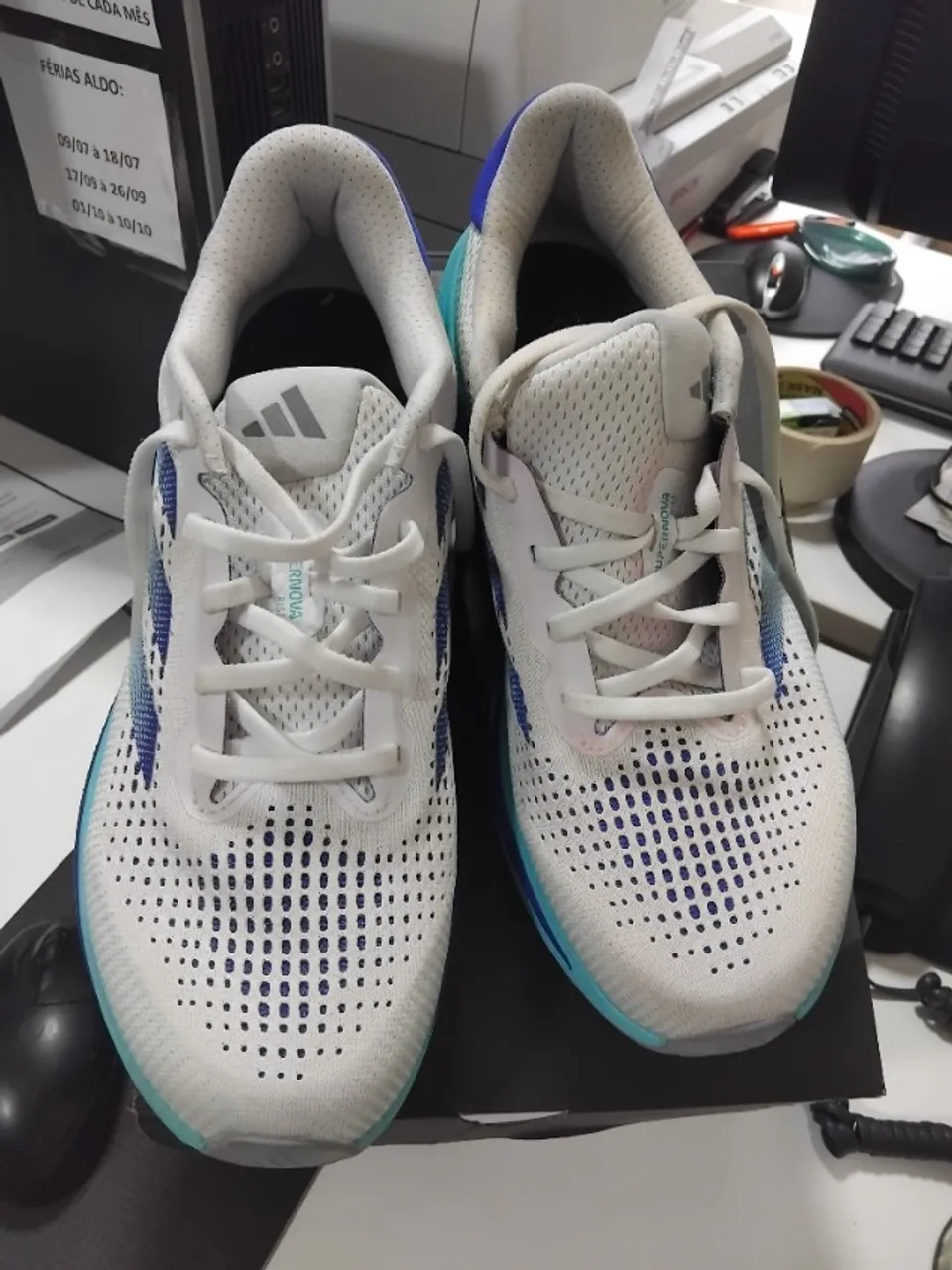 Tenis