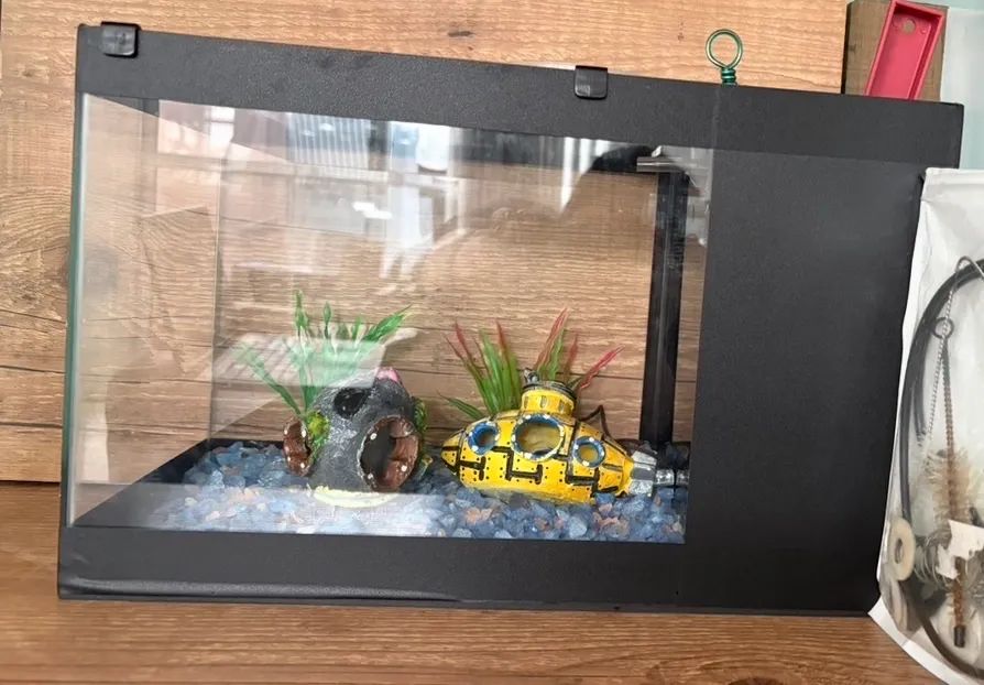 Aquário USASO - Foto 2