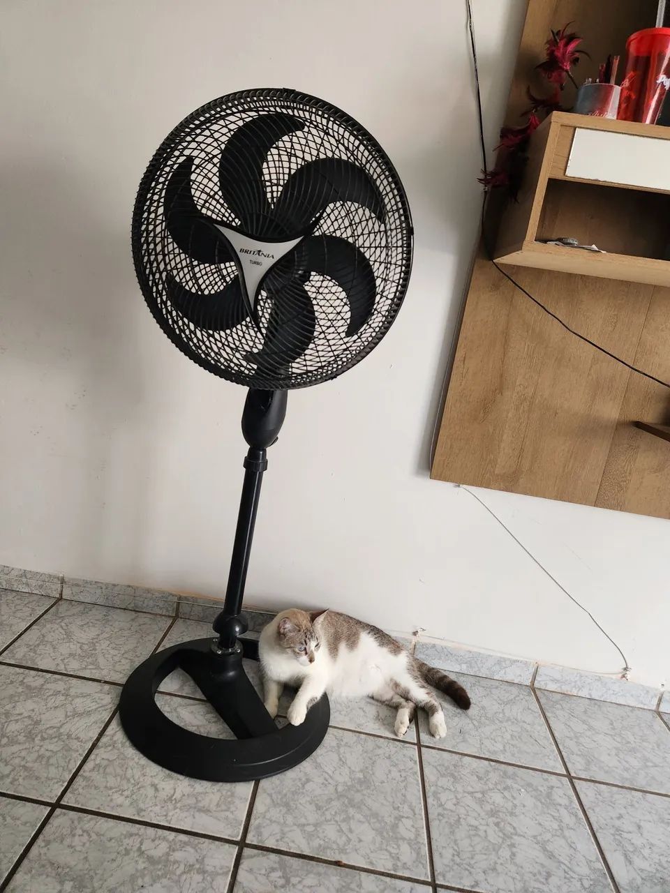 Ventilador de Pé Britânia Turbo 1800- Retirada de peças ou conserto