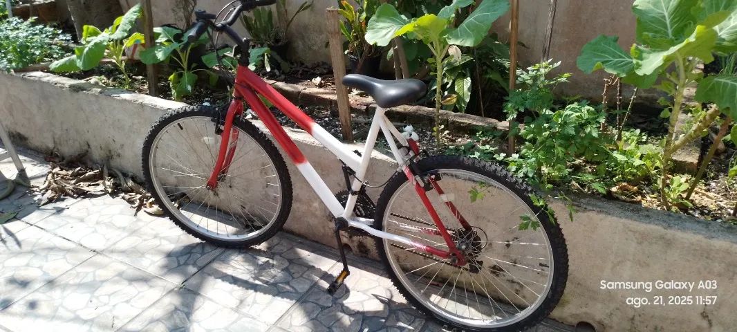 Bicicleta - Foto 5