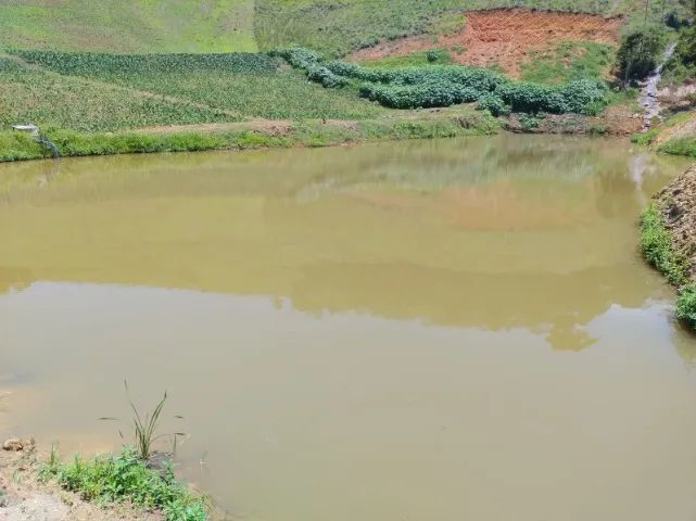 PEDRA AZUL - SÍTIO 50 MIL M2 - OPORTUNIDADE - Foto 2