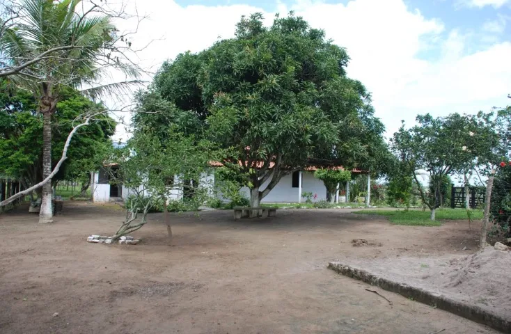ALUGO CHÁCARA PARA SÃO JOÃO /BAHIA(São Gonçalo dos Campos)