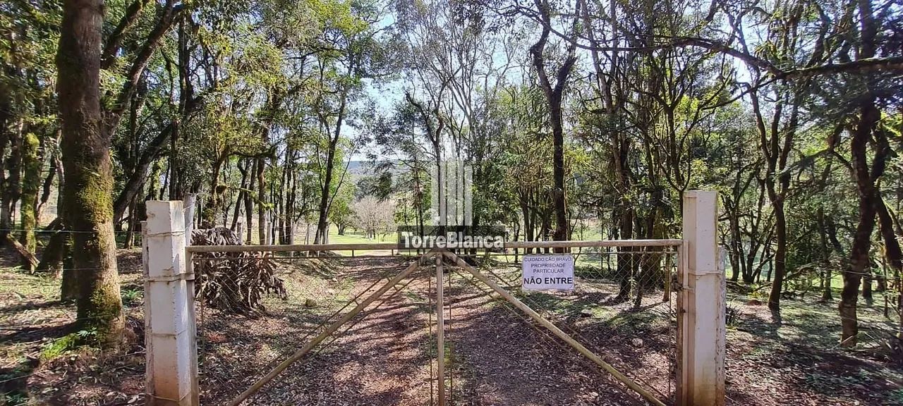 Chácara com 5 dormitórios à venda - Foto 2