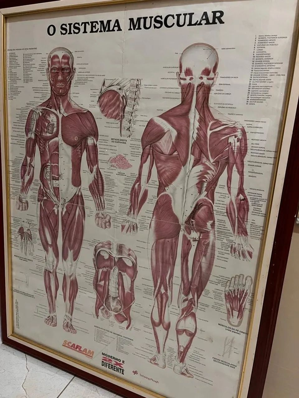 Quadros para clinicas 63824564201473120