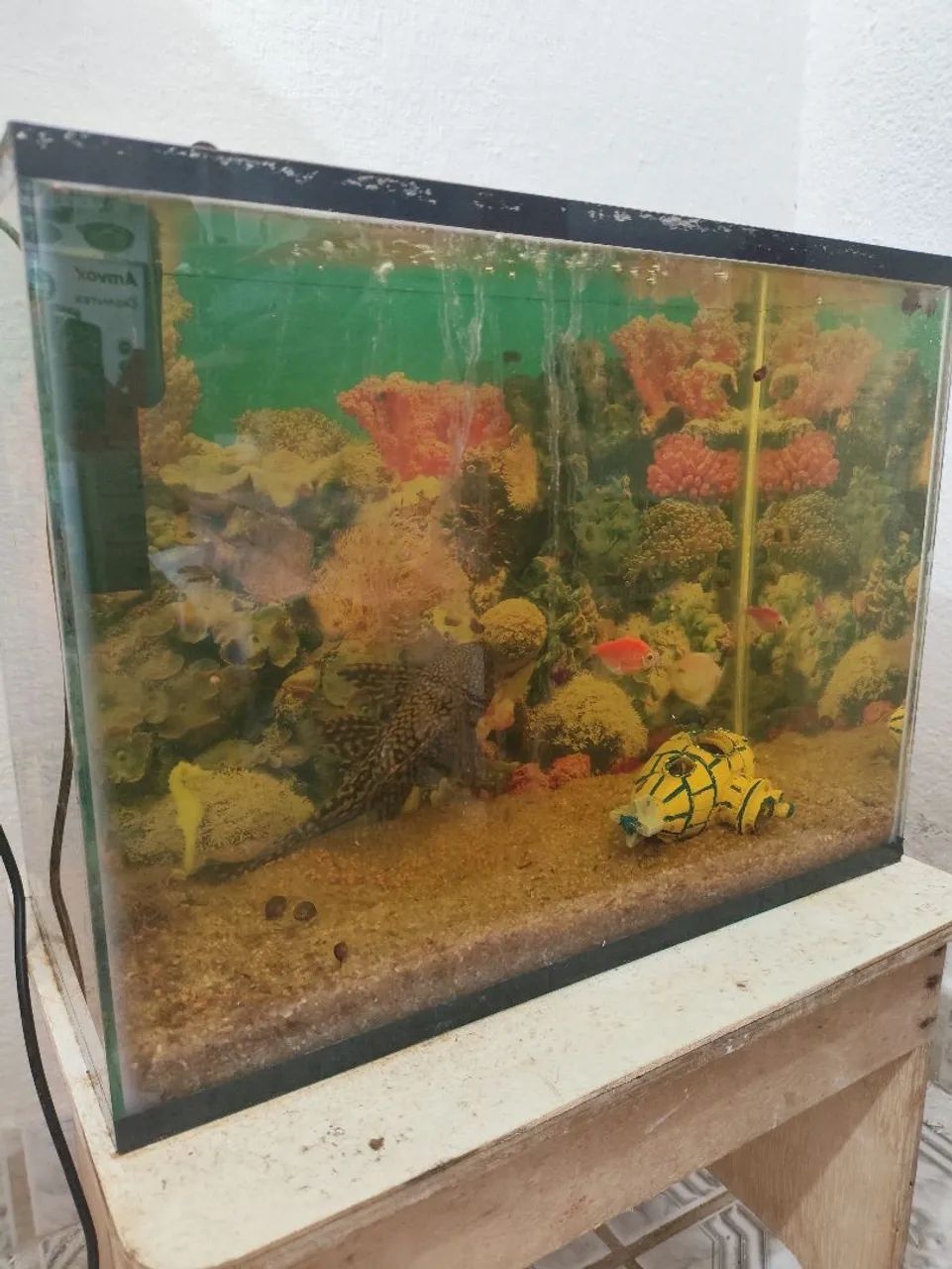 Aquário com Filtro e Decoração - Foto 3