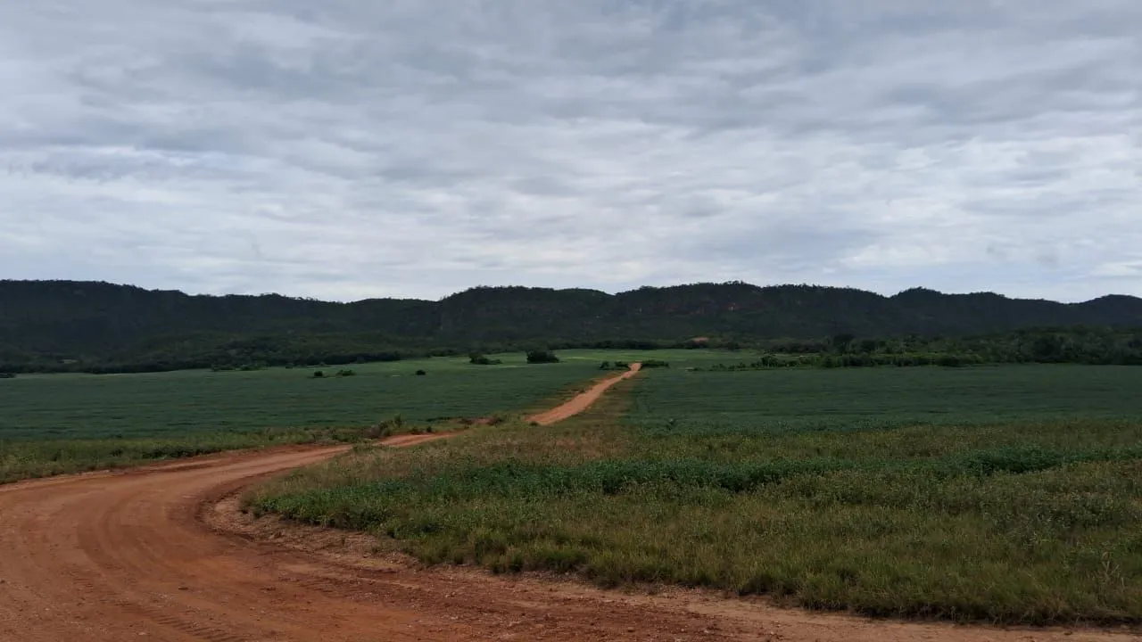 Fazenda de arrendamento 700hec e Rosário do oeste MT.