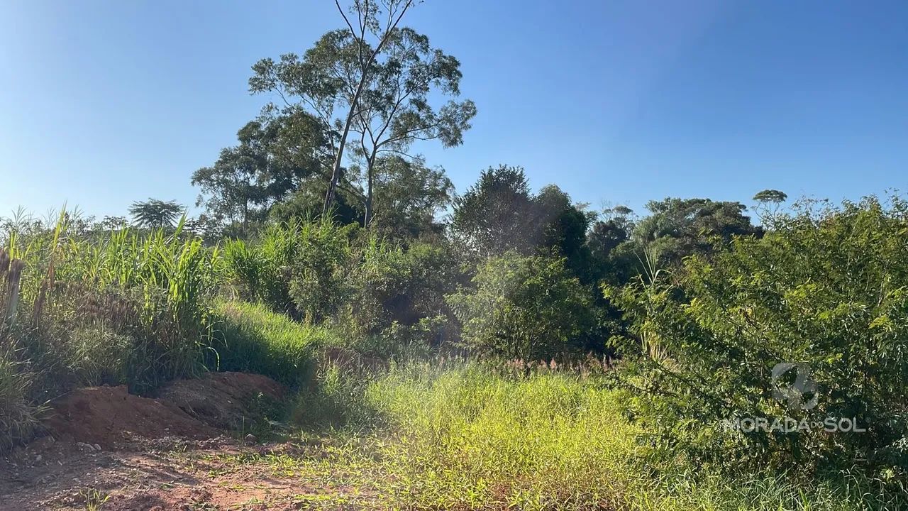 Terreno em porto do moura - Canelinha