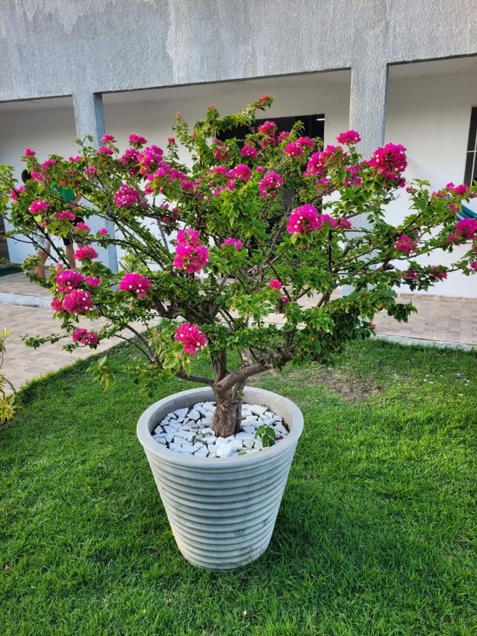 Casa de praia em Tabatinga 2 - Foto 3