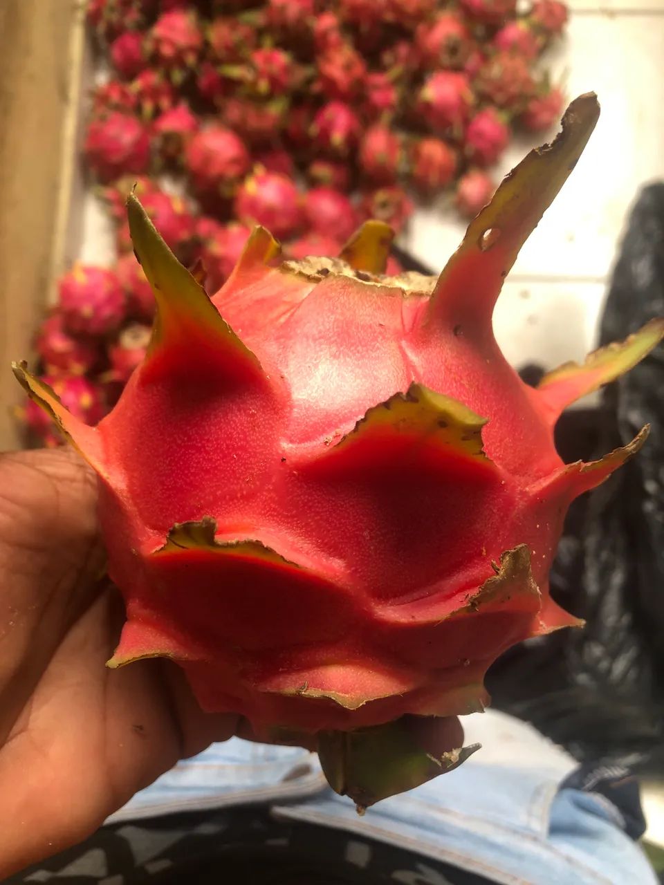Pitaya 