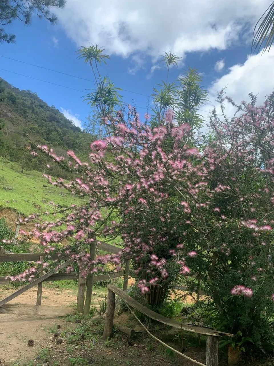 Sitio á Venda - Foto 2