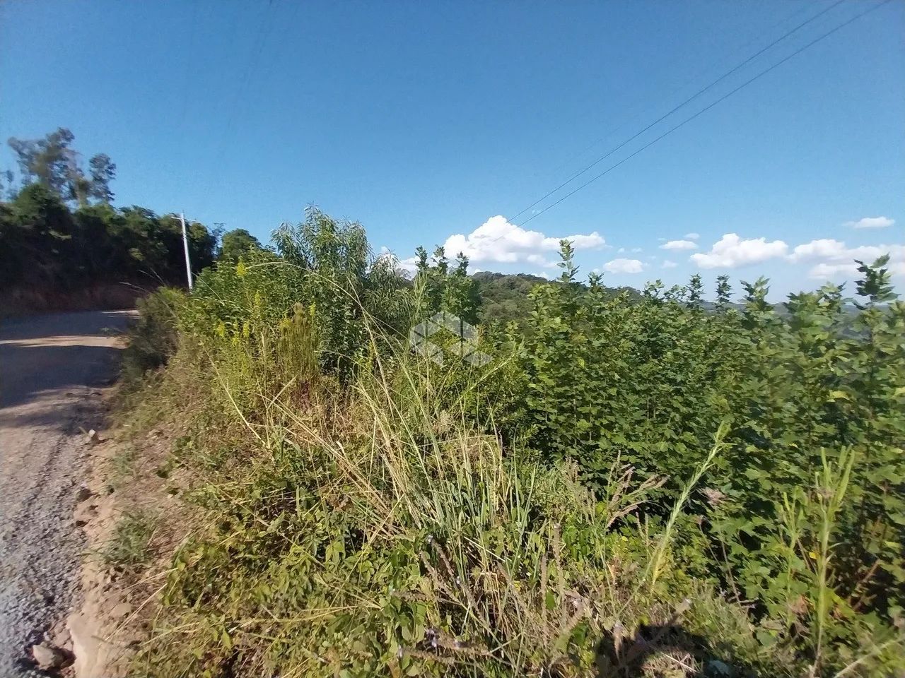 Área rural em Monte Belo - Foto 5