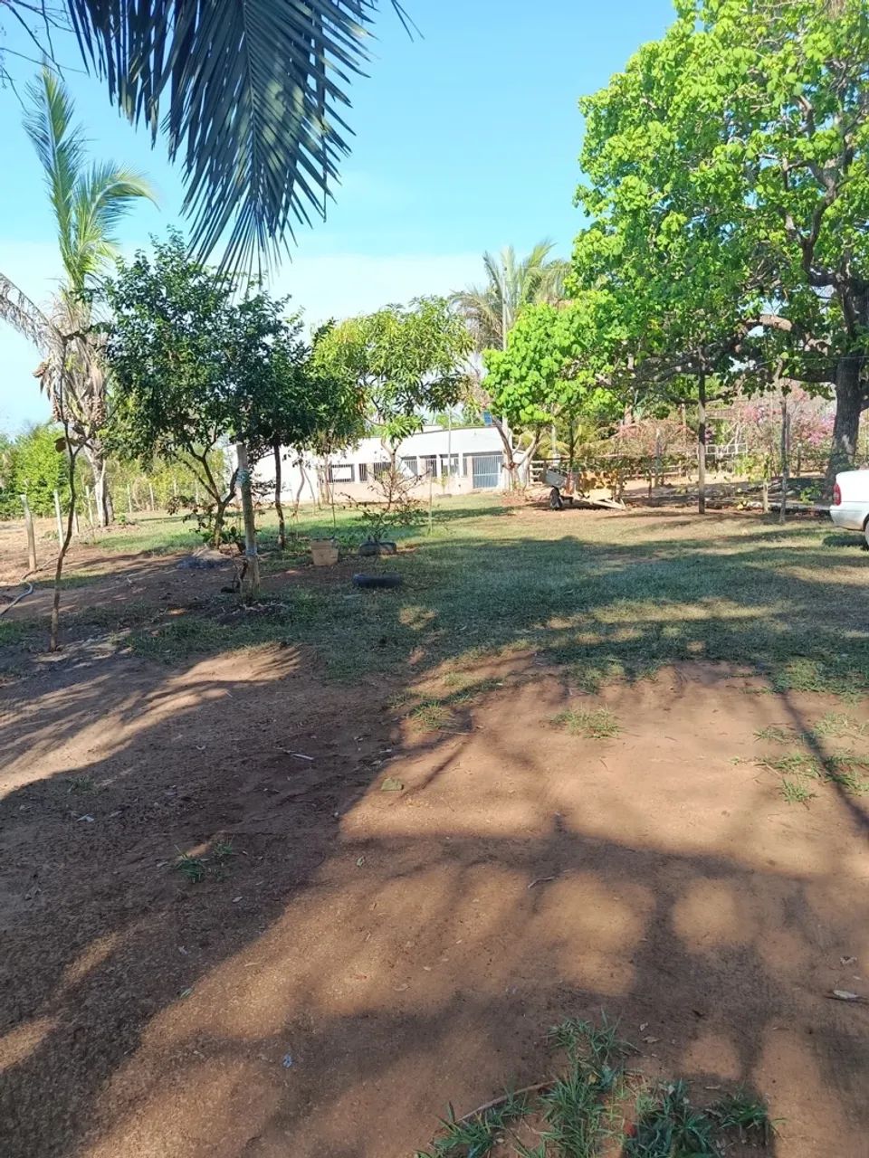 chácara  no rio claro  - Foto 3