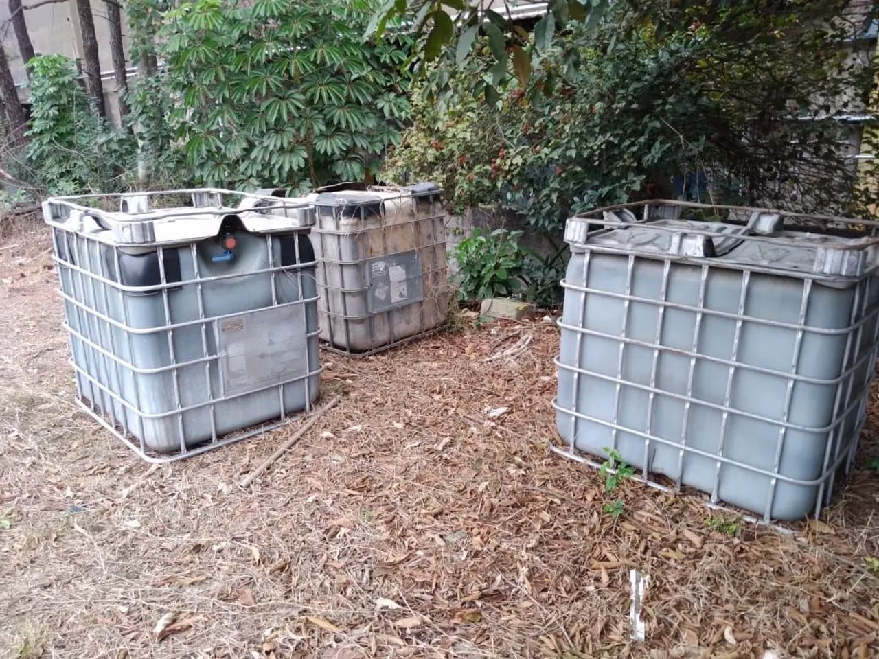 Lote com container e reservatório de plástico 