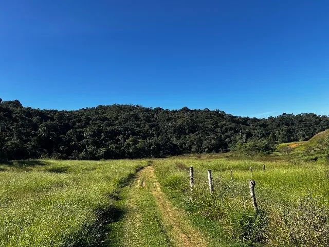 Fazenda 78 Há em Santos  - Foto 4