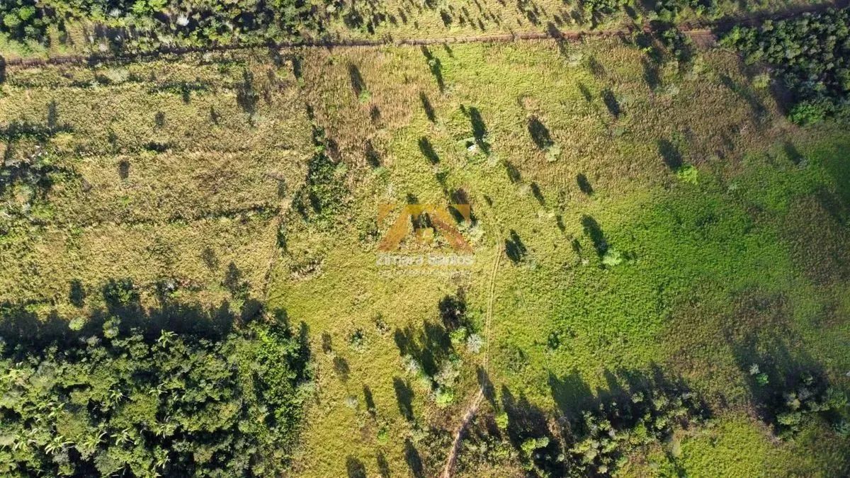 Fazenda com 10 Alqueires na Zona Rural de Palmas - Sentido Lajeado á 45 km do Centro - Foto 7