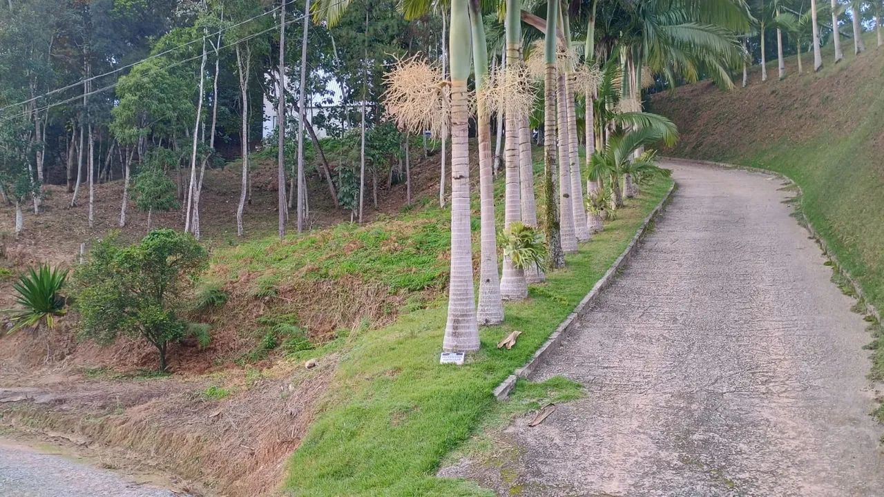 CASA NA ÁRVORE 