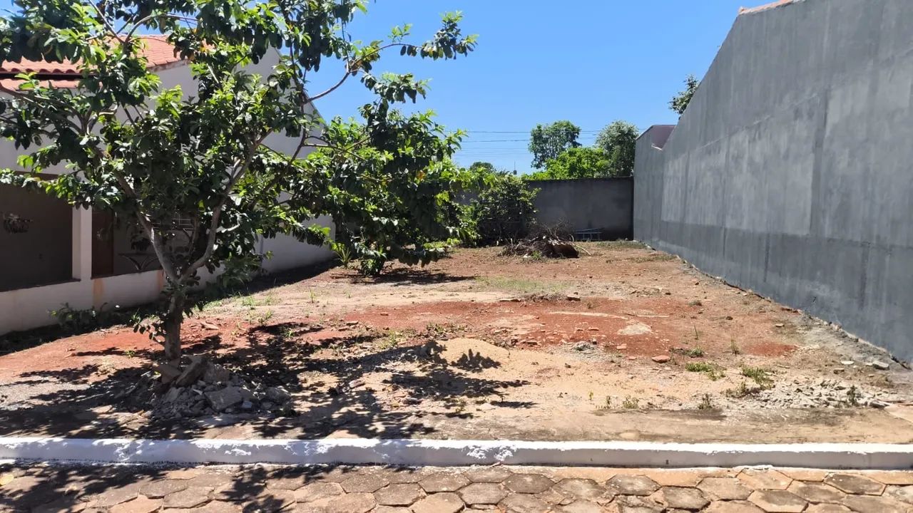 Lote 10/25