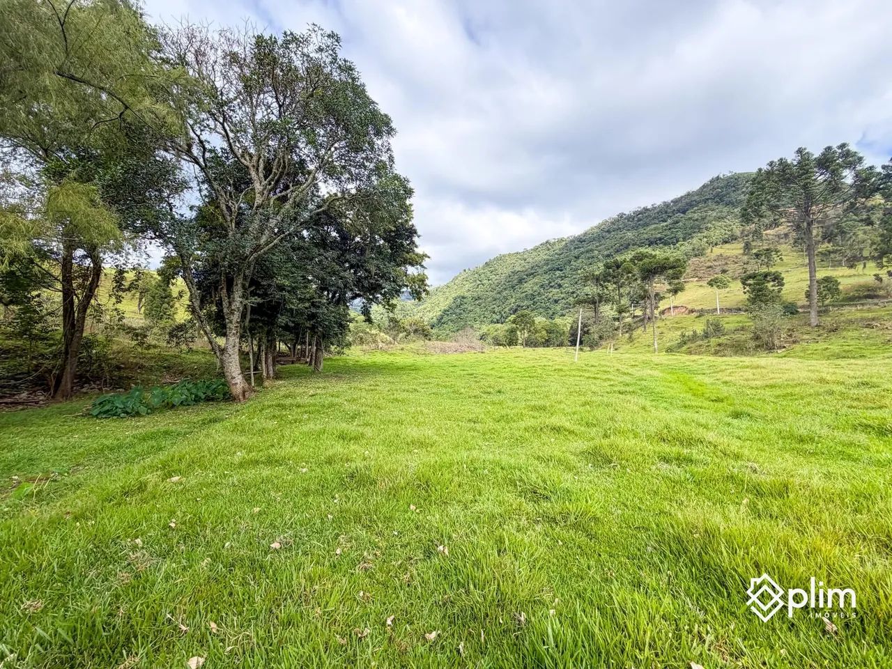 Terreno de 2,7 hectares com Rio incrível em Alfredo Wagner  SC - Foto 4