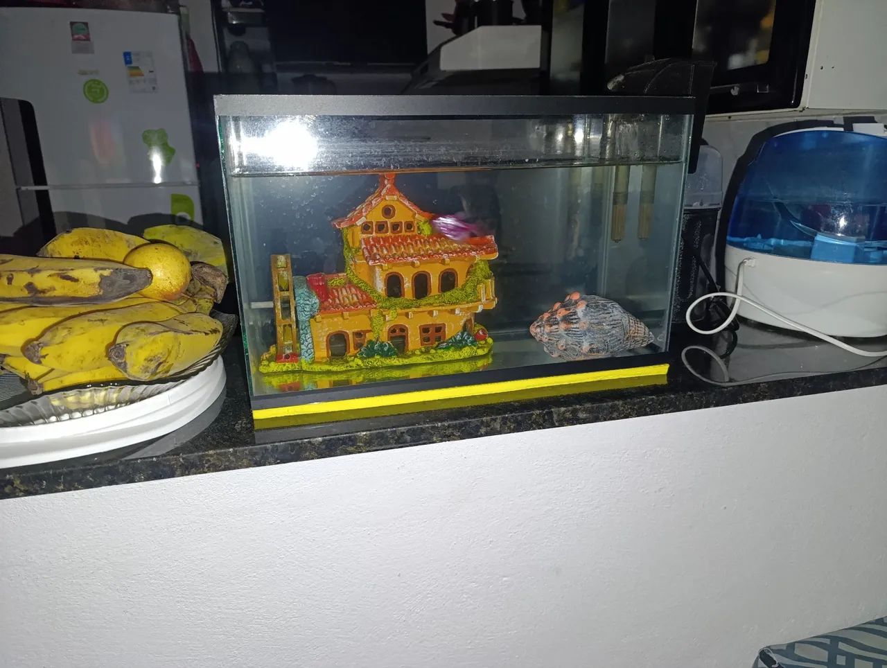 Vendo aquário completo 