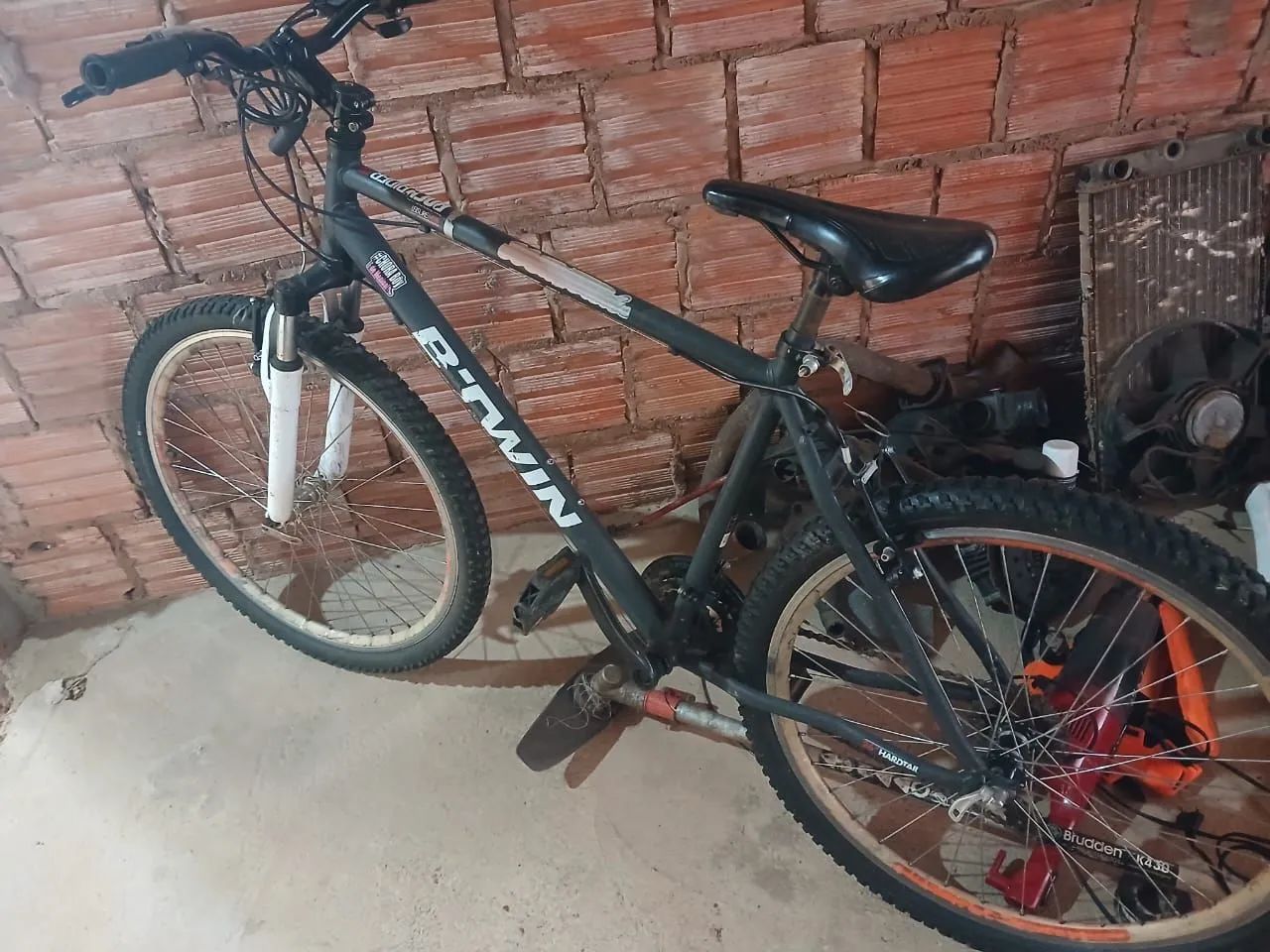 Bicicleta 