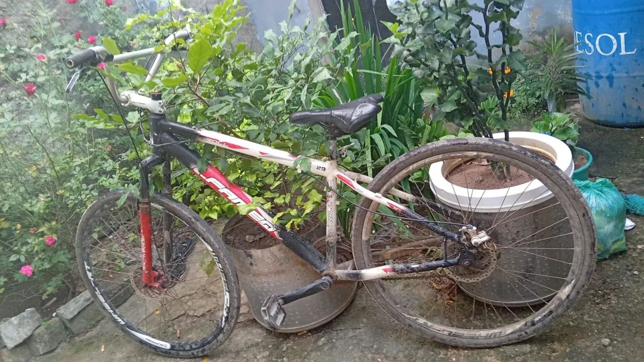 Bicicleta aro 29