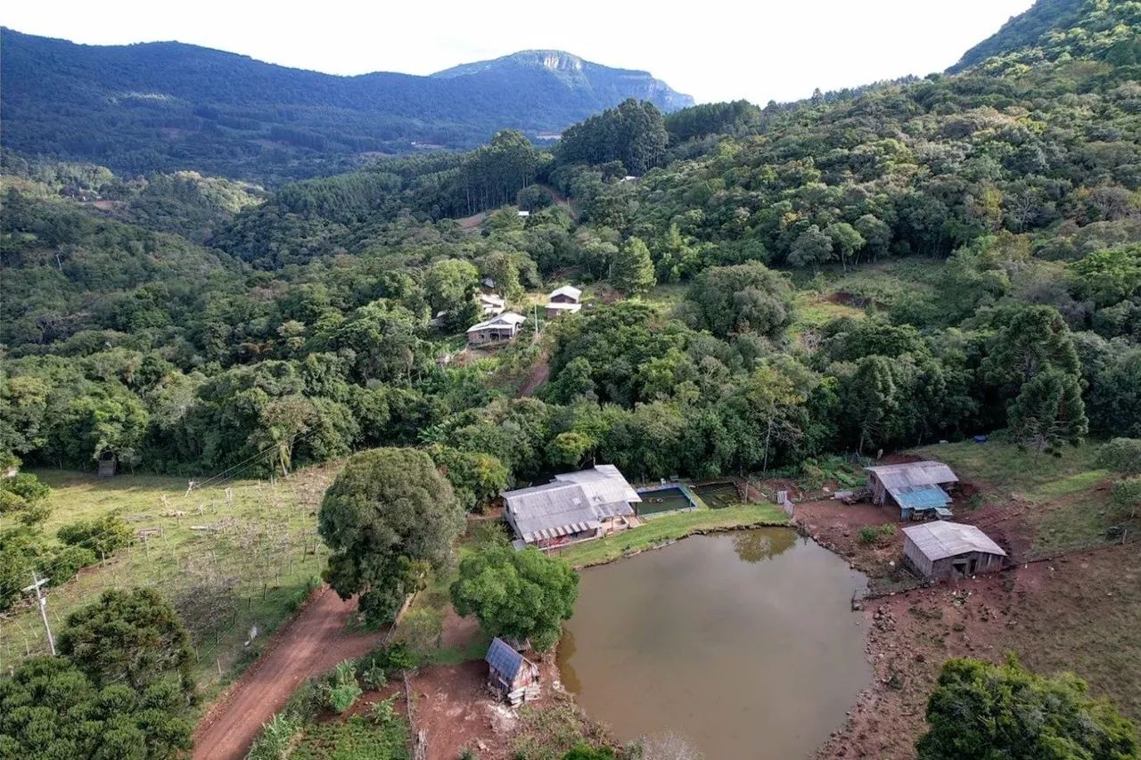 Sitio a venda em Canela - Foto 3