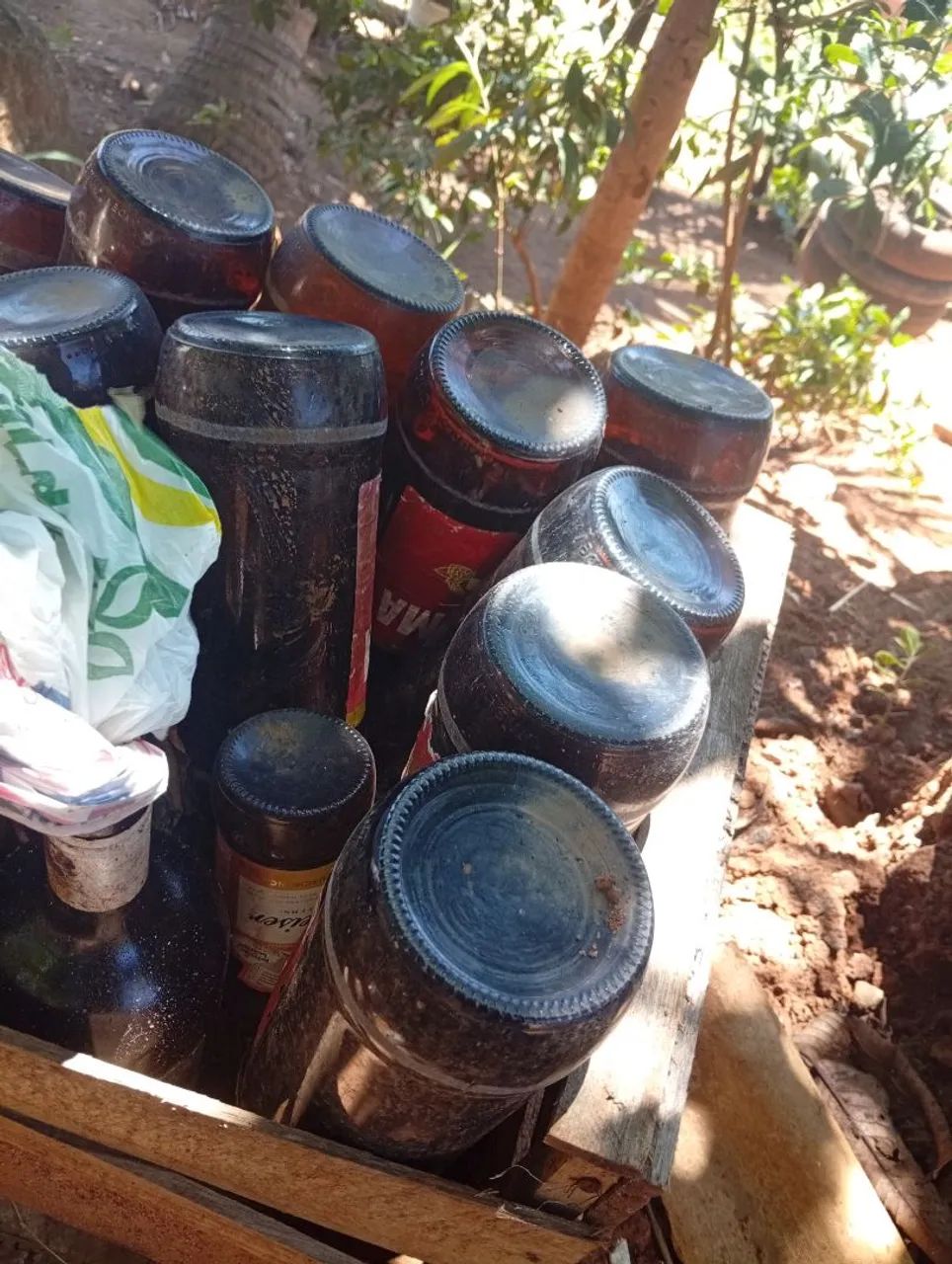  Casco de cerveja R$ 1,50