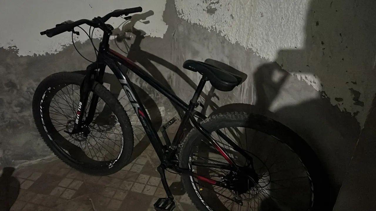 Vendo bike aro29