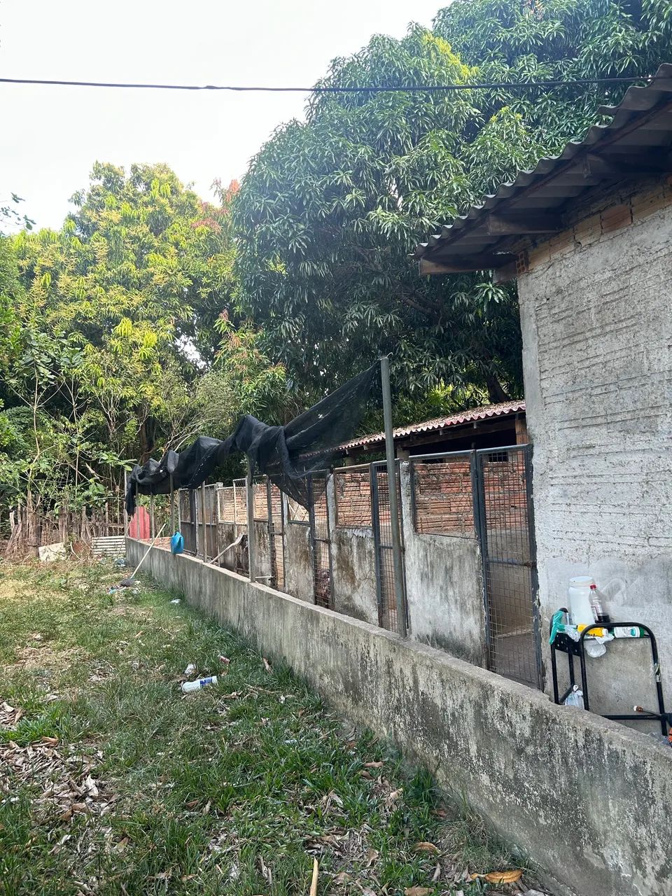Venda de chácara no bairro operário  - Foto 4