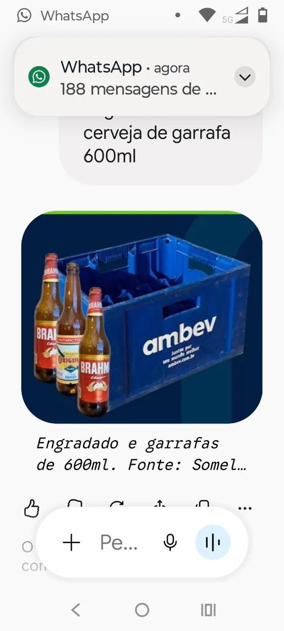 Engradado de garrafas de cerveja 600ml