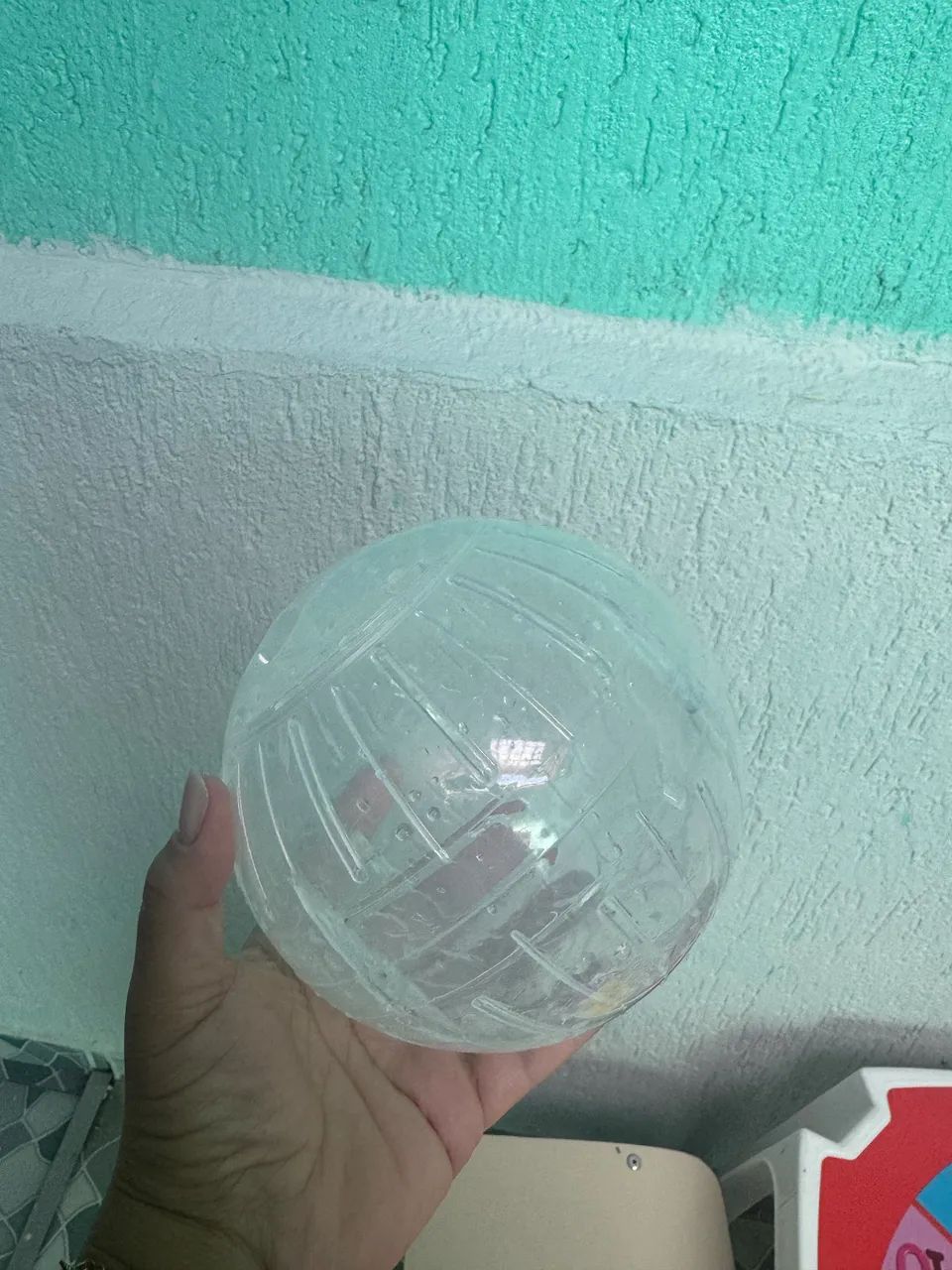 Gaiola de hamster e hamster 