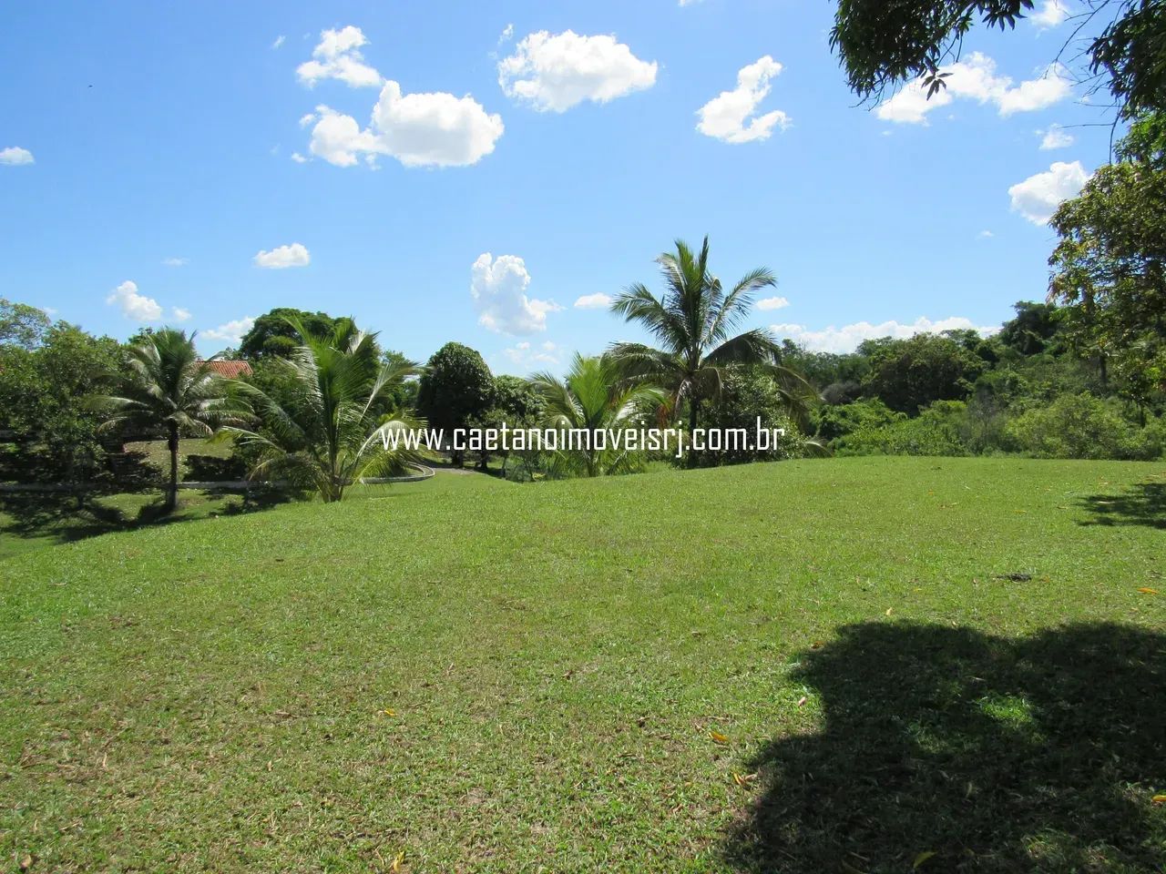 Sítio de 11.000m2 Todo Murado - Oportunidade - Foto 3