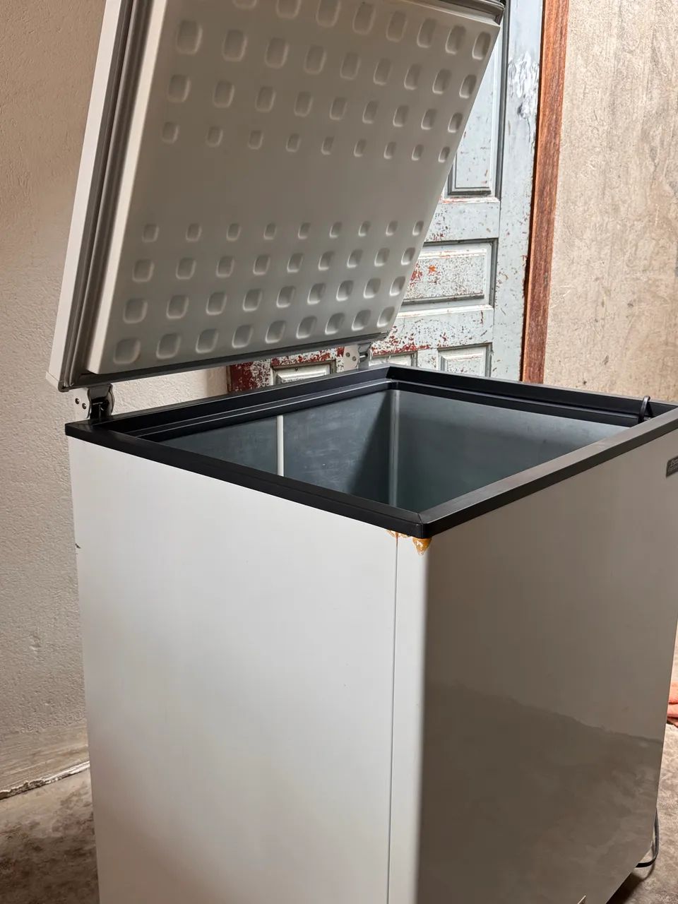 Frizer horizontal  - Foto 2