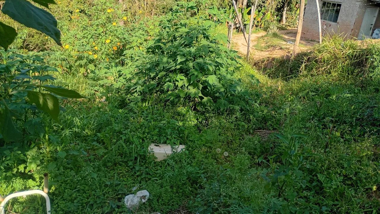 Terreno a venda  - Foto 2