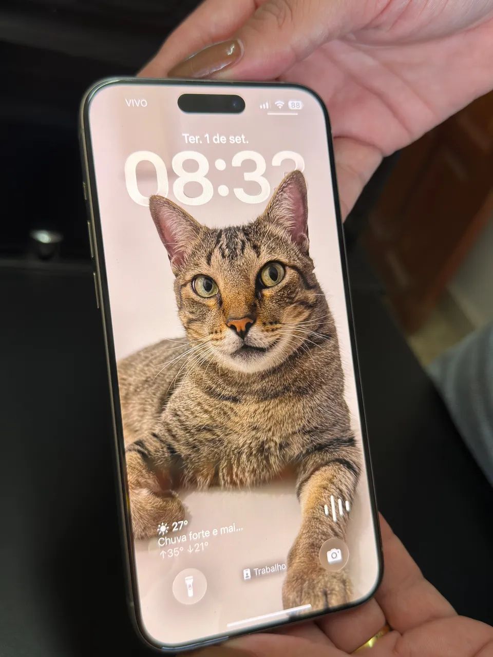 iPhone 15 pro Max 256gb cor titanium natural - Foto 2