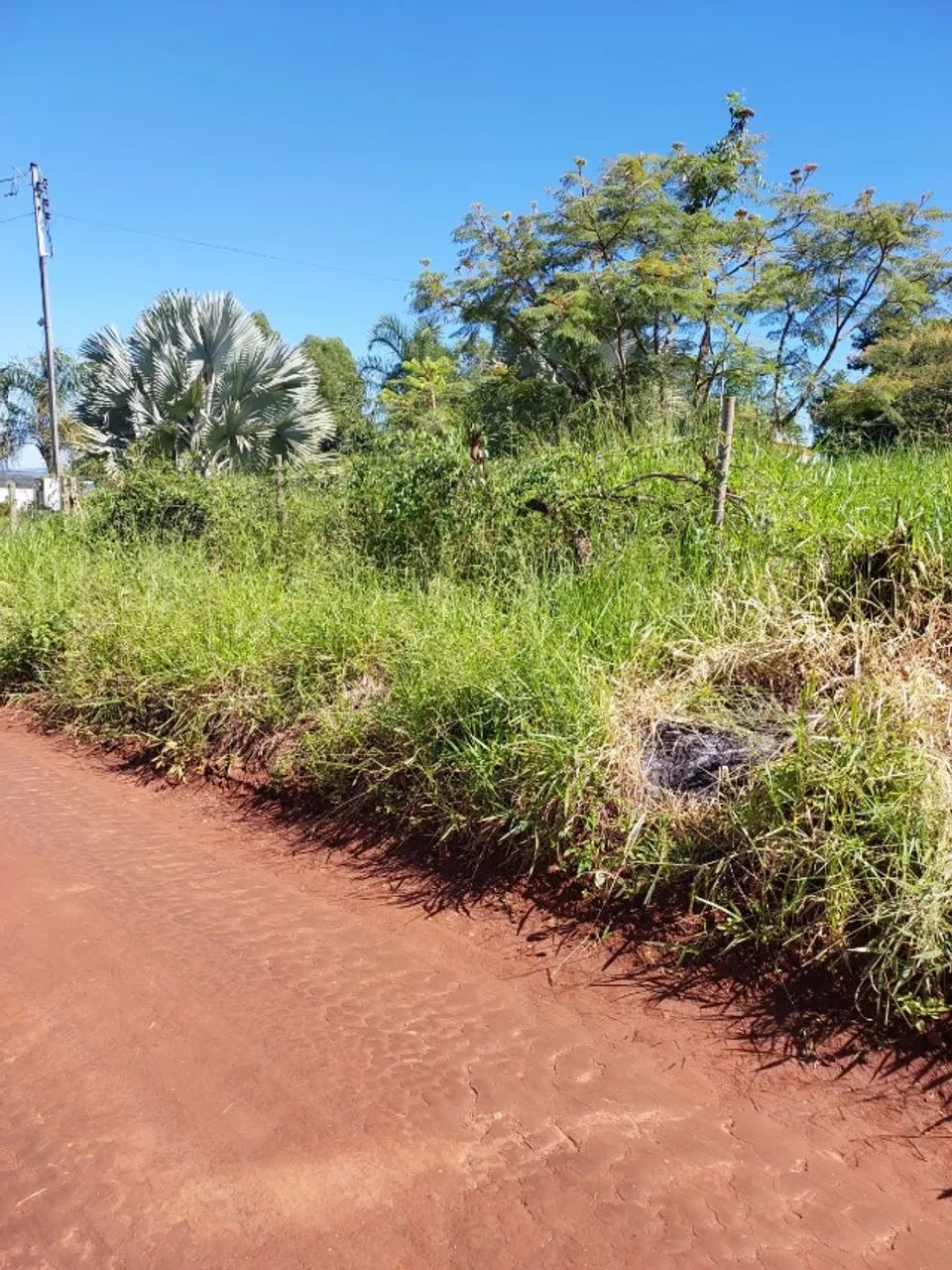 Chácara 2.000m² - Foto 4