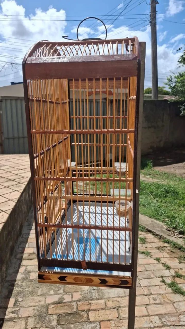 Gaiola de tizil para torneio - Foto 2